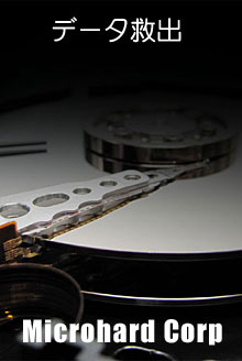 �ϡ��ɥǥ��������ǡ����߽�